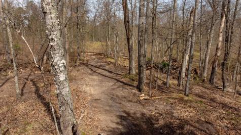 6000 N Bass Lake Drive NE Remer MN 56672