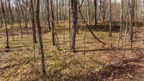 6000 N Bass Lake Drive NE Remer MN 56672