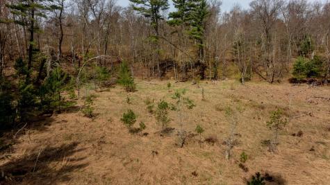 6000 N Bass Lake Drive NE Remer MN 56672