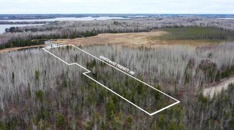 TBD Parcel 15 Highway 115 Tower MN 55790