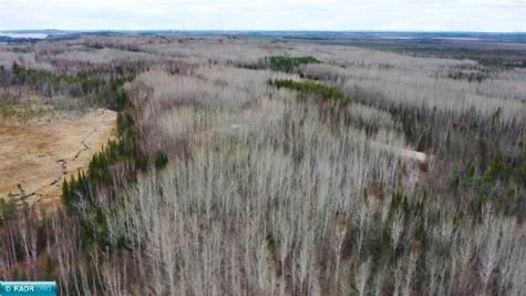 Tbd Parcel 15 Highway 115 Tower MN 55790