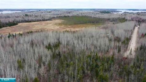 Tbd Parcel 15 Highway 115 Tower MN 55790