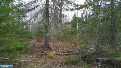 Tbd Parcel 15 Highway 115 Tower MN 55790