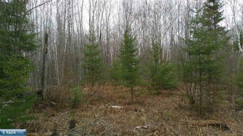 Tbd Parcel 15 Highway 115 Tower MN 55790