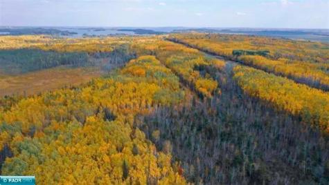 TBD Parcel 15 Highway 115 Tower MN 55790