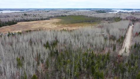 Tbd Parcel 15 Highway 115 Tower MN 55790