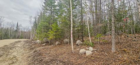 Tbd Parcel 15 Highway 115 Tower MN 55790