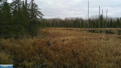 Tbd Parcel 15 Highway 115 Tower MN 55790