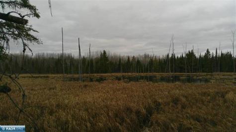 Tbd Parcel 15 Highway 115 Tower MN 55790