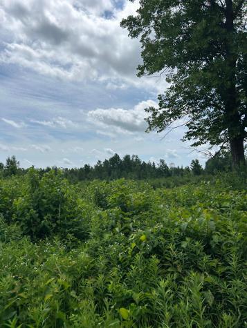TBD1 Duncan Road Sandstone MN 55072