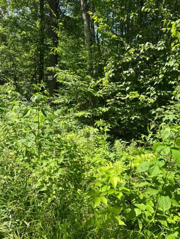 TBD1 Duncan Road Sandstone MN 55072