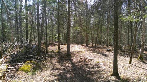 Parcel W Tbd Frazer Bay Road Cook MN 55723