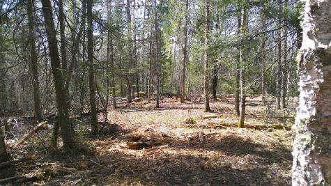 Parcel W Tbd Frazer Bay Road Cook MN 55723