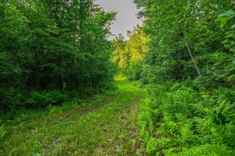 Tbd Cty Road S Blair WI 54616