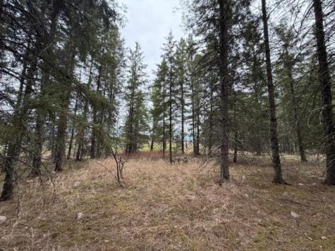 Tbd 5th Tbd 5th Street SE Cook MN 55723