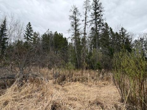Tbd 5th Tbd 5th Street SE Cook MN 55723