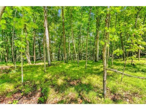 49330 Fish Lake Road Pelican Rapids MN 56572