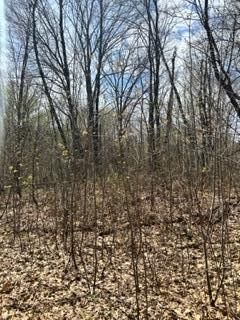 Xxx Opal Lane Cushing MN 56443