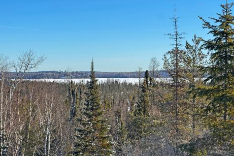 0000 Fectos Road Tower MN 55790