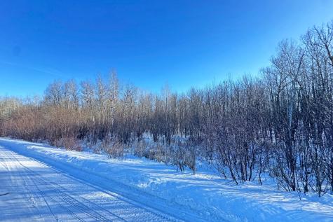 0000 Fectos Road Tower MN 55790