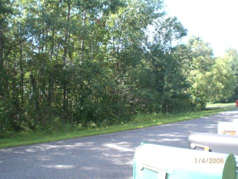 Lot 12 Fallen Leaf Circle Breezy Point MN 56472