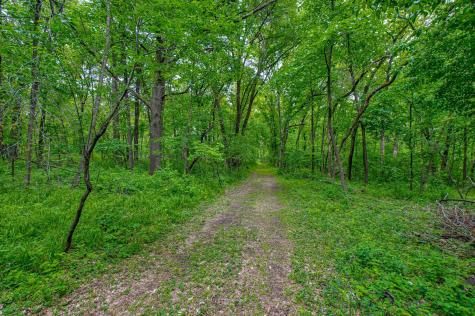 Tbd Grey Cloud Trail S Cottage Grove MN 55016