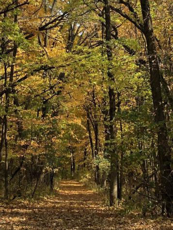 Tbd Grey Cloud Trail S Cottage Grove MN 55016