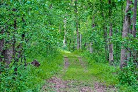 Tbd Grey Cloud Trail S Cottage Grove MN 55016