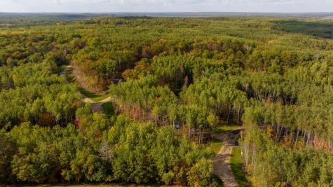 Tbd Lot 1 Ridgeway Court Walker MN 56484