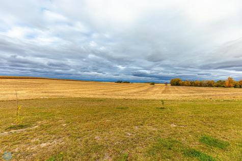 2401 Terrace Lane Hawley MN 56549