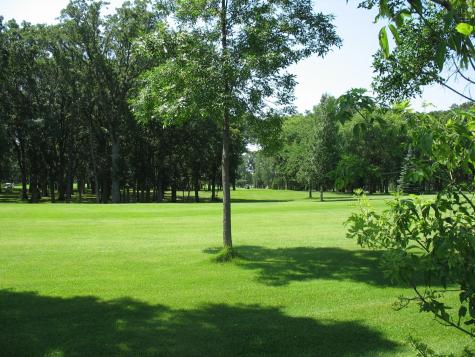 Lot 2 Bk 1 285th Street Battle Lake MN 56515