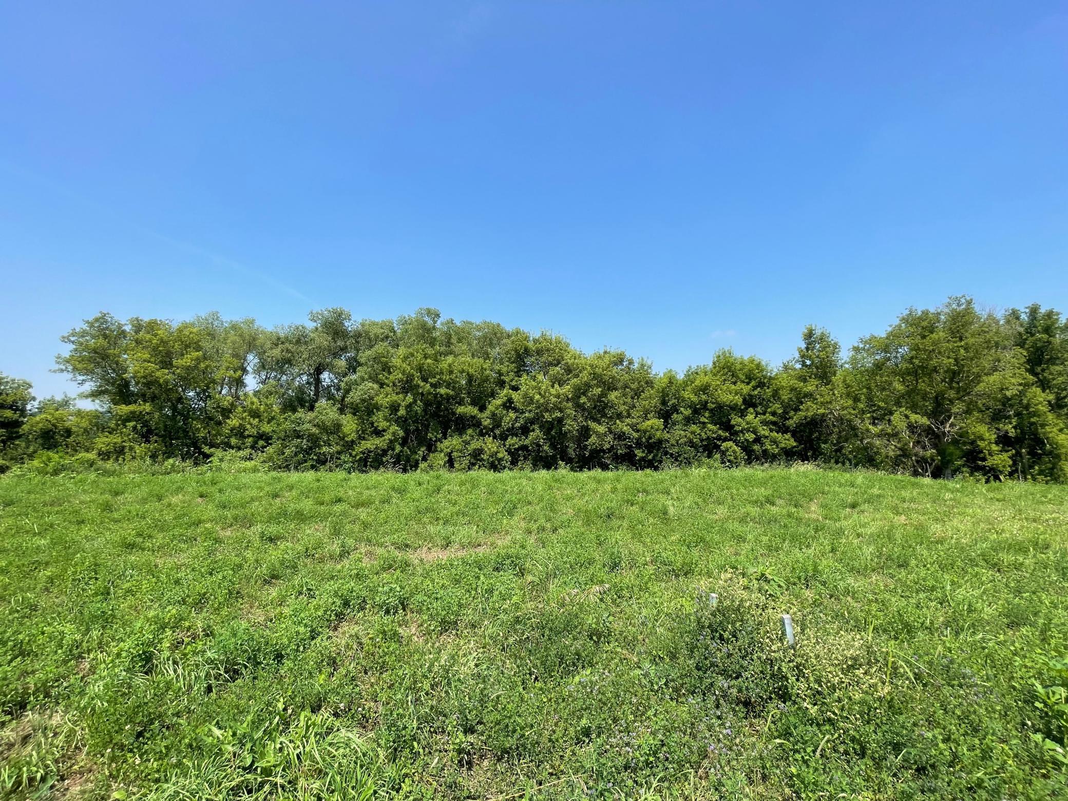 1413 Somerby Place NE Byron MN 55920