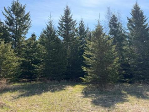 Tbd 66th Avenue NE Remer MN 56672