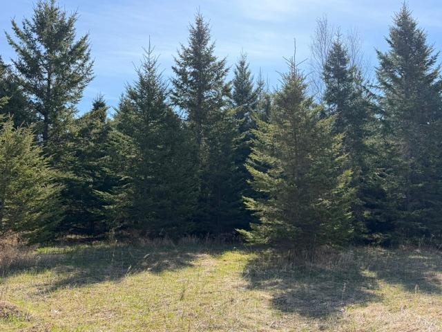 Tbd 66th Avenue NE Remer MN 56672