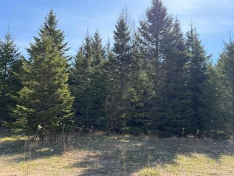 Tbd 66th Avenue NE Remer MN 56672