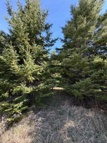 Tbd 66th Avenue NE Remer MN 56672