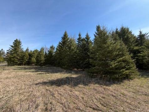 Tbd 66th Avenue NE Remer MN 56672