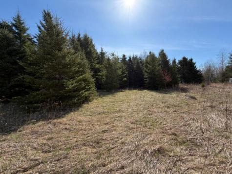 Tbd 66th Avenue NE Remer MN 56672