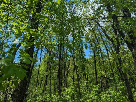 L44 B1 Navaho Trail Breezy Point MN 56472