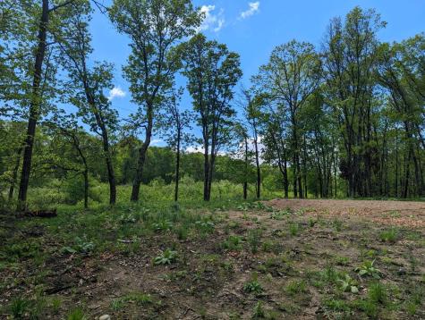 L44 B1 Navaho Trail Breezy Point MN 56472