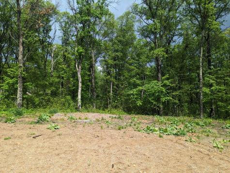 L44 B1 Navaho Trail Breezy Point MN 56472