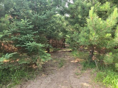 20332 County Highway 25 Detroit Lakes MN 56501