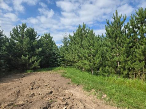 20332 County Highway 25 Detroit Lakes MN 56501