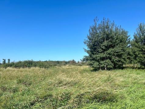 Xxxx 580th Avenue Deer Creek MN 56527
