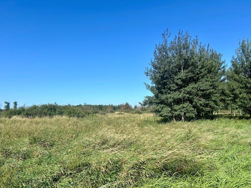 Xxxx 580th Avenue Deer Creek MN 56527