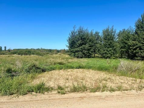 Xxxx 580th Avenue Deer Creek MN 56527