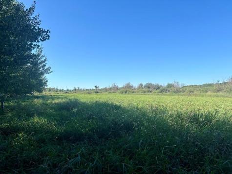 Xxxx 580th Avenue Deer Creek MN 56527