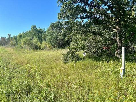 Xxxx 580th Avenue Deer Creek MN 56527