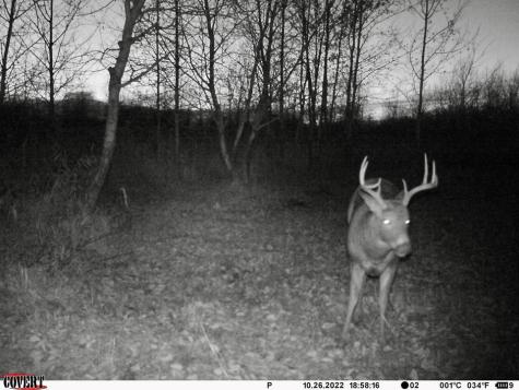 Xxxx 580th Avenue Deer Creek MN 56527