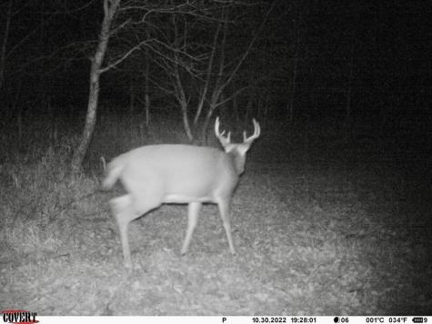Xxxx 580th Avenue Deer Creek MN 56527